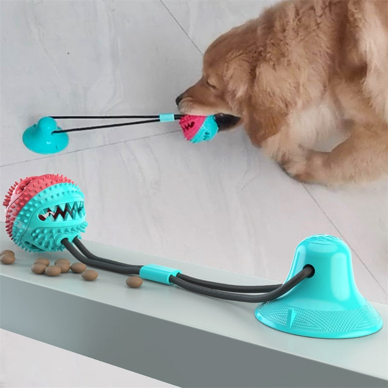 TugToy™ - Suction Cup - BarkNifties