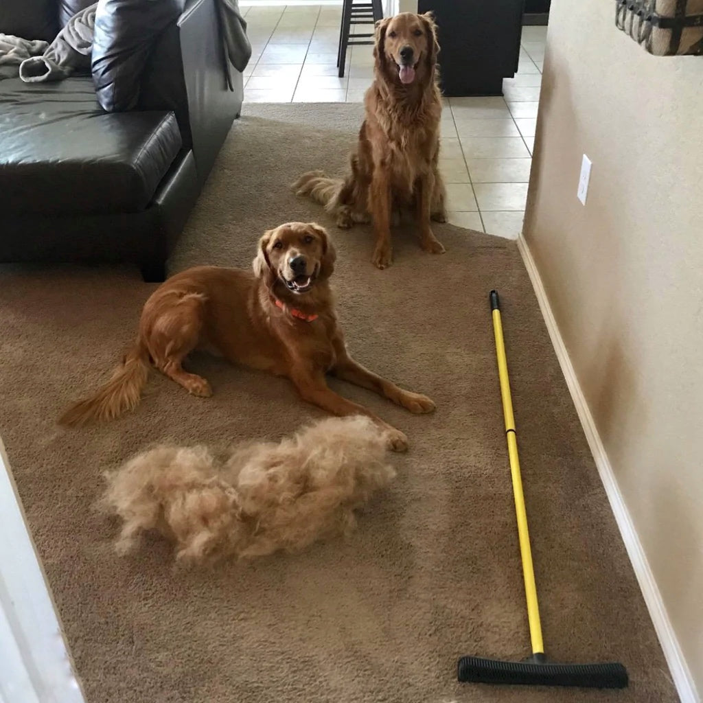 Pet Hair Remover Broom - BarkNifties